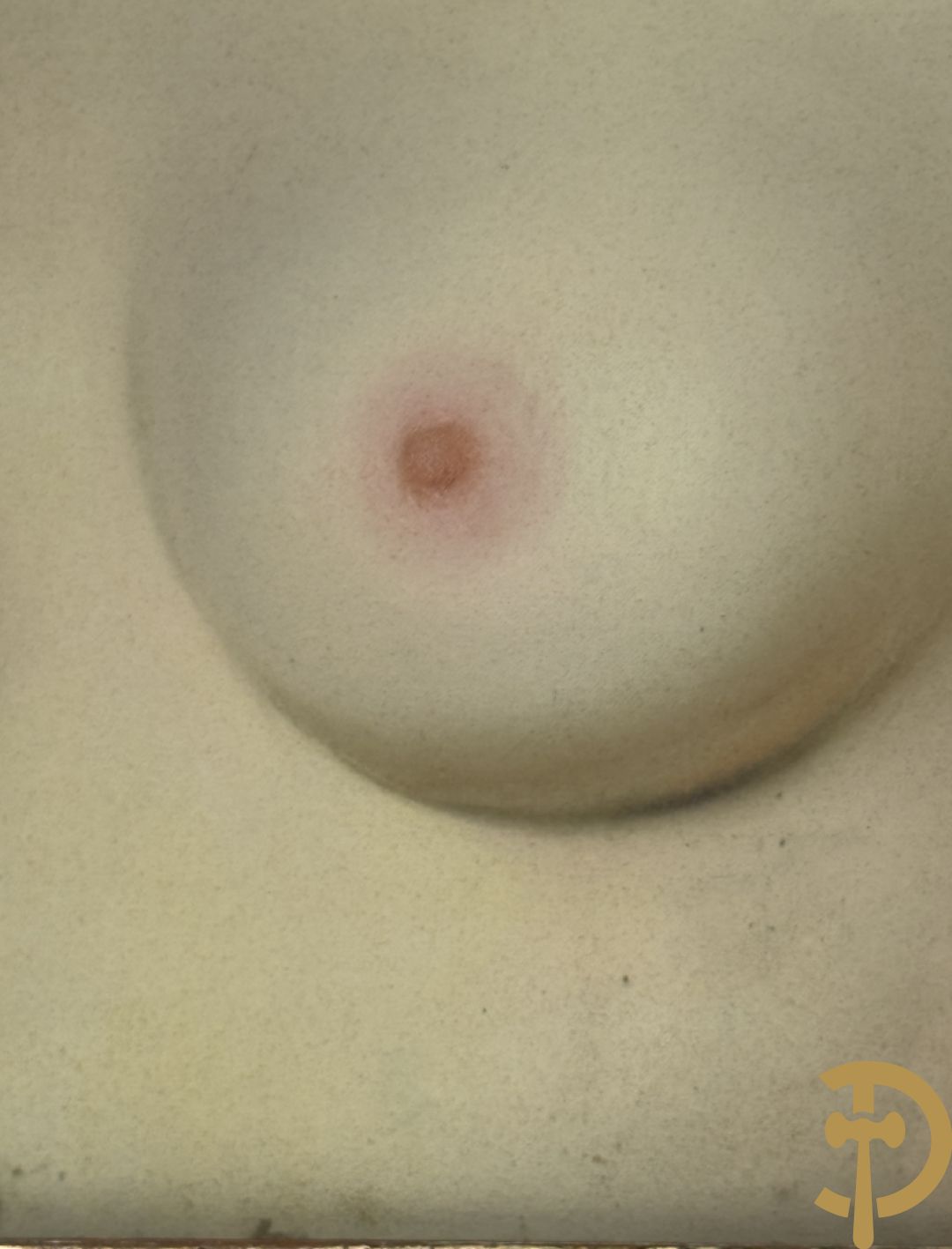 BAES Firmin getekend 