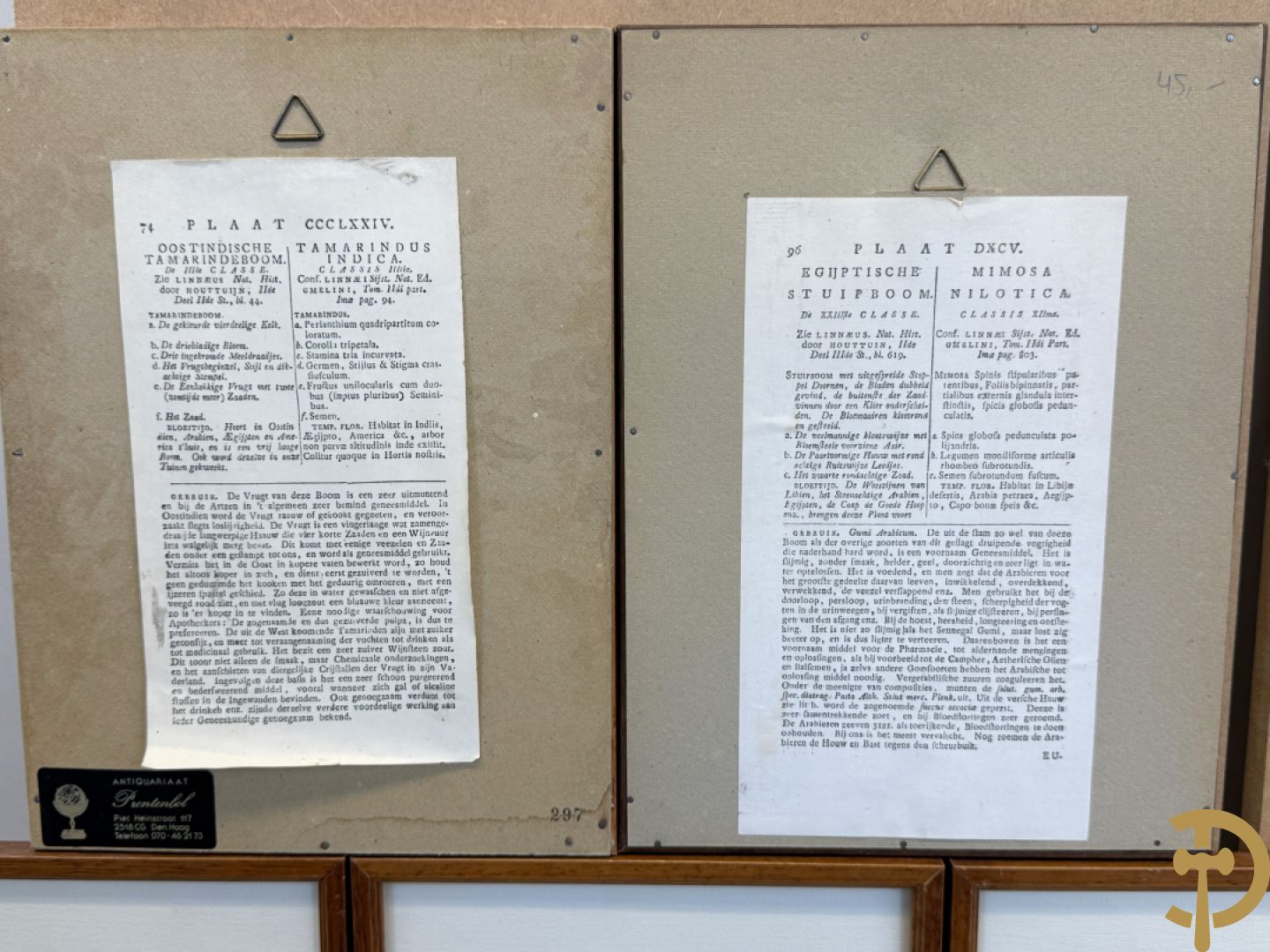 LEITNER J.S. fecit  - Set oude gravures met ingelijste medicinale planten