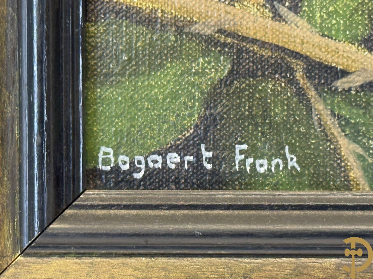 BOGAERT Frank getekend 