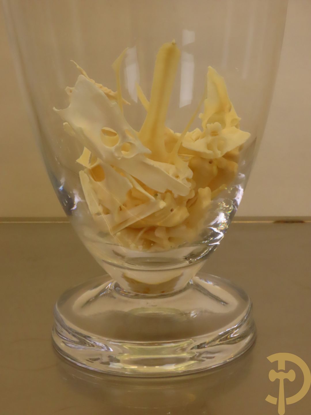 VANMECHELEN Koen 2008 