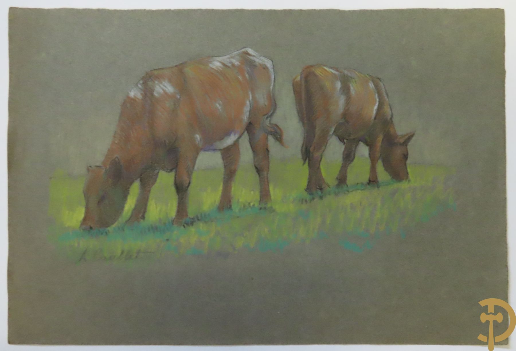 CAULLET A. getekend en A.C. gemonogrammeerd : pastels en tekeningen met hoevezichten en studies van koeien