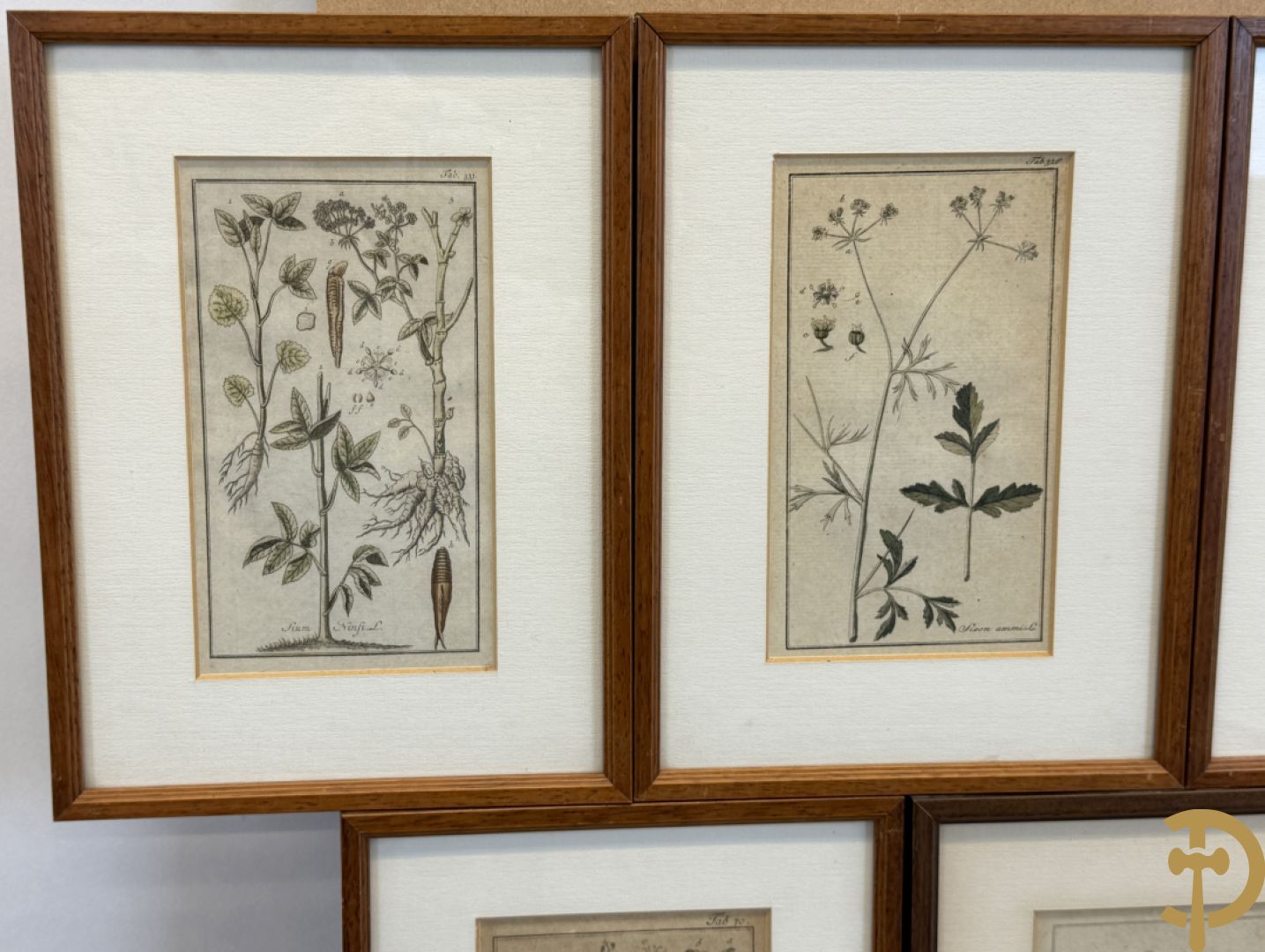 LEITNER J.S. fecit  - Set oude gravures met ingelijste medicinale planten