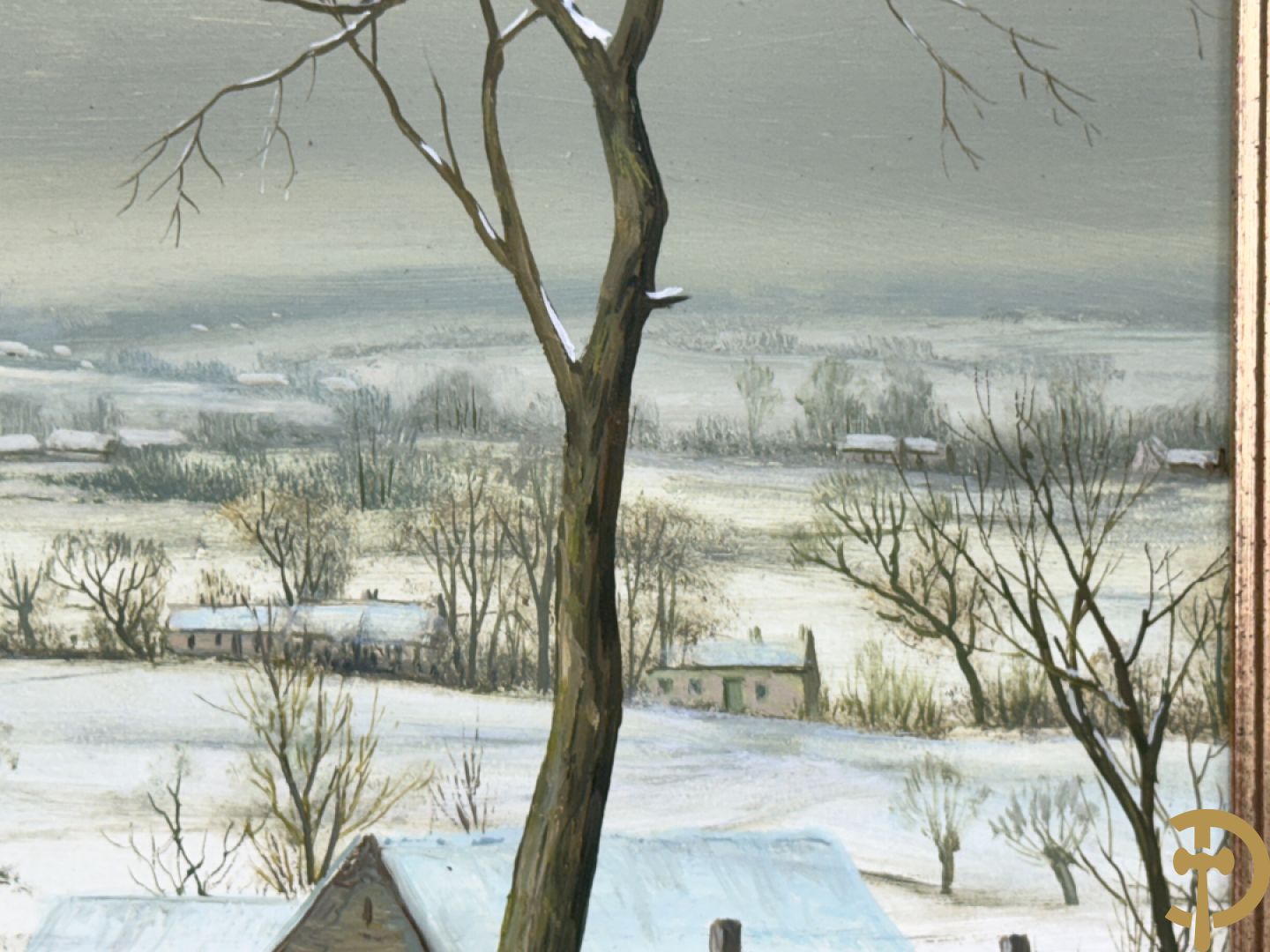 COSYNS Gies getekend 