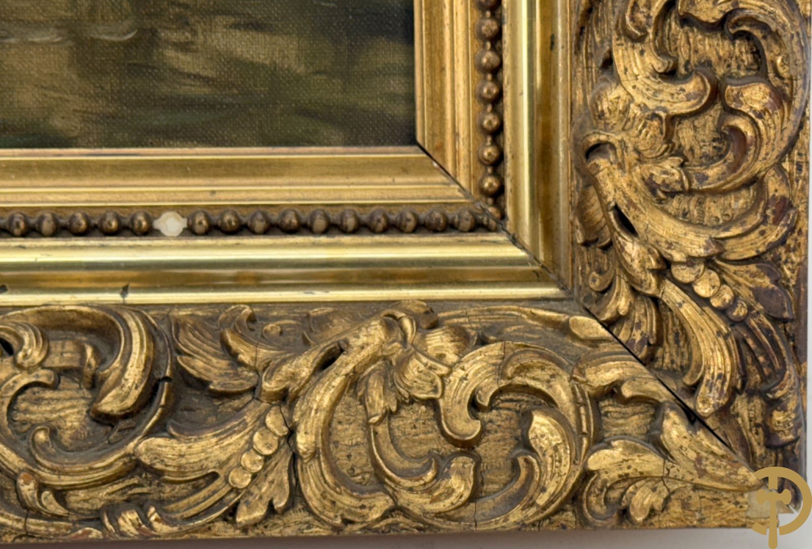 CATY getekend Geanimeerd zicht op watermolen