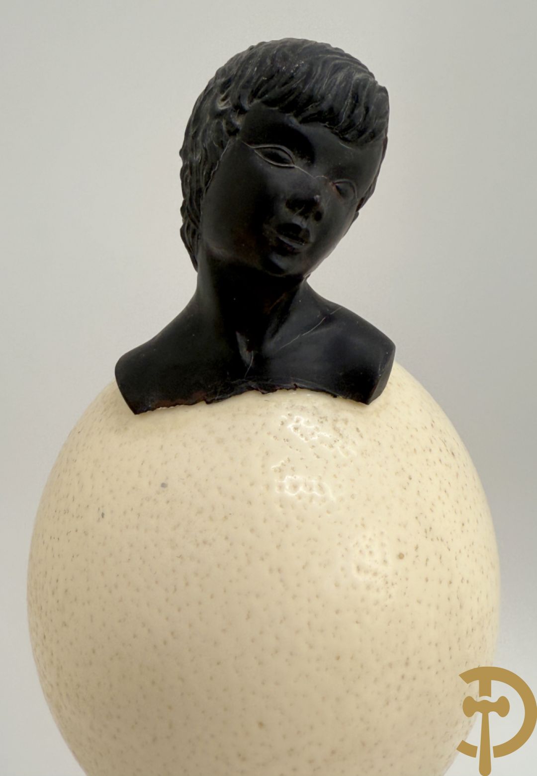 Vijf struisvogeleieren op zwart houten statief