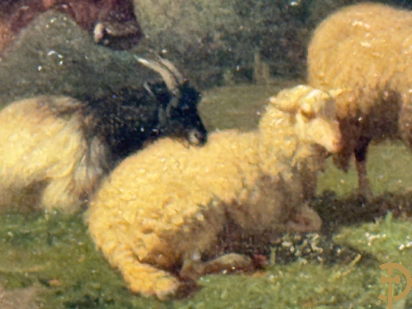 ROBBE getekend links 