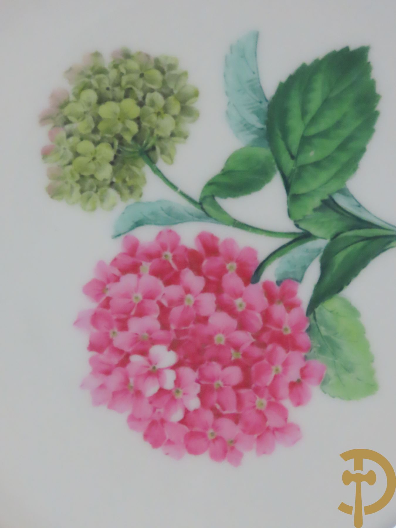 Zes porseleinen borden onder gemerkt met zwaarden / Meissen : 1 bord met stadstafereel, 1 verlucht bord met drakendecor, 1 bord met vogeldecor, 1 met bloemen en 2 met bloemendecor omgeven door vergulde rand