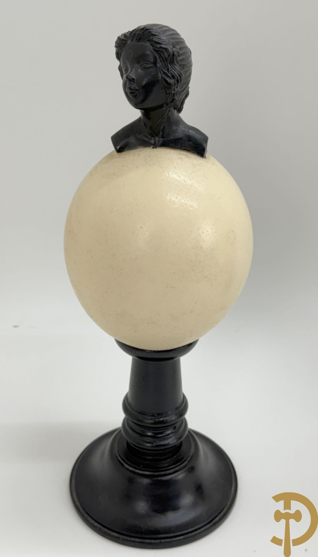 Vijf struisvogeleieren op zwart houten statief