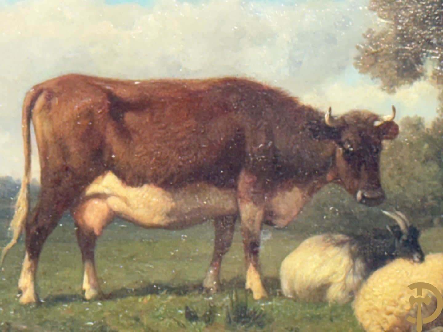 ROBBE getekend links 