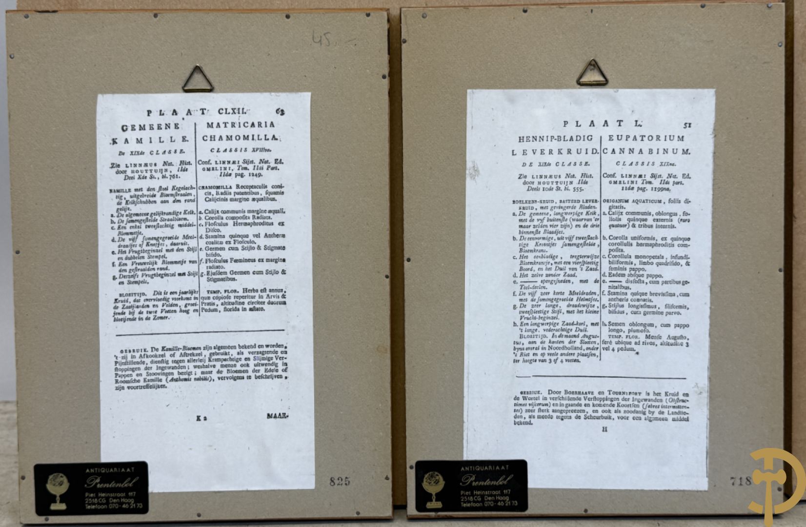 LEITNER J.S. fecit  - Set oude gravures met ingelijste medicinale planten