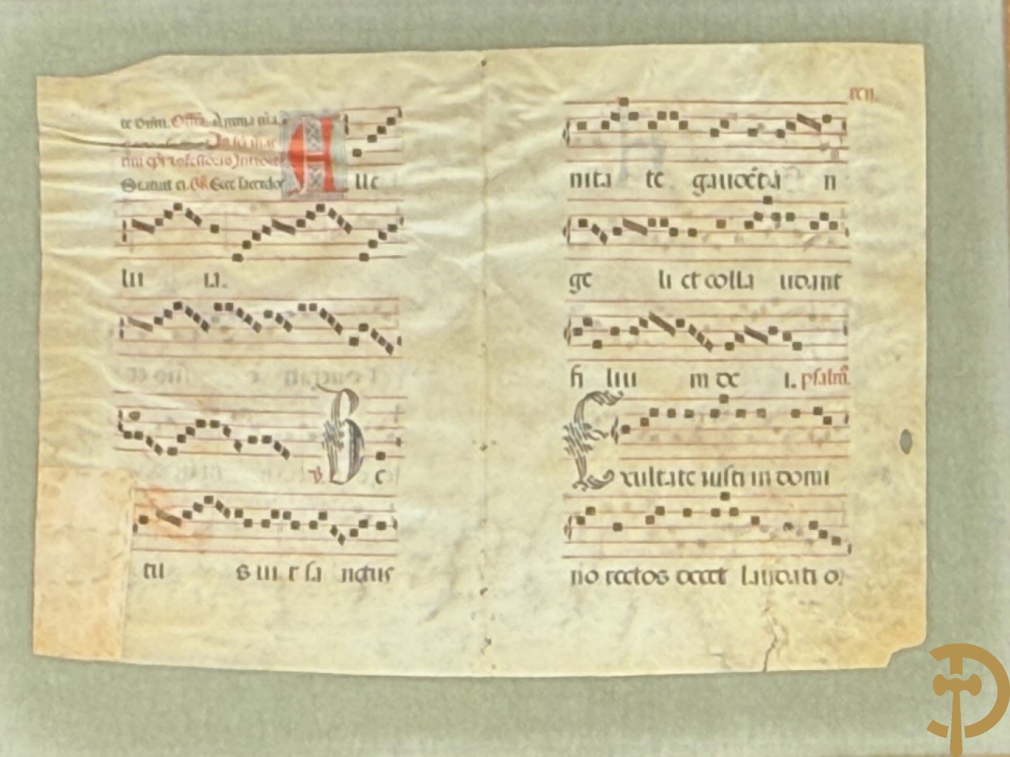 Perkamenten uittreksel uit een gezangenboek met Latijnse gekaligrafeerde letter