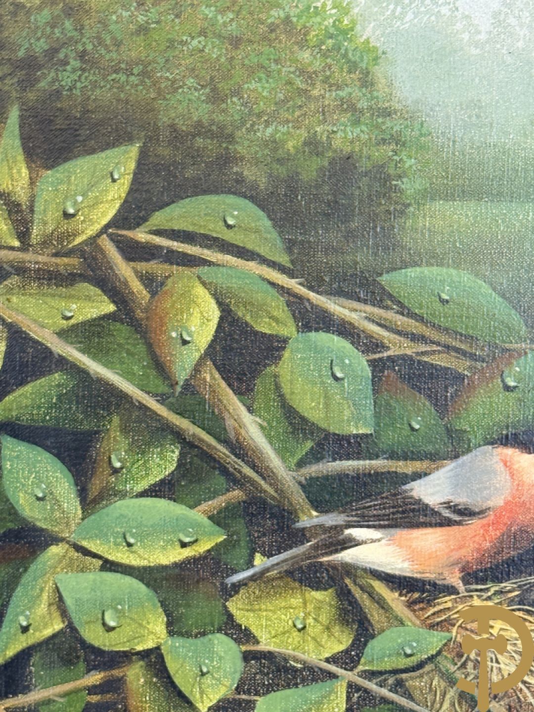 BOGAERT Frank getekend 