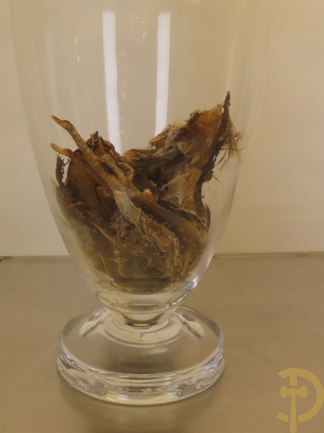 VANMECHELEN Koen 2008 