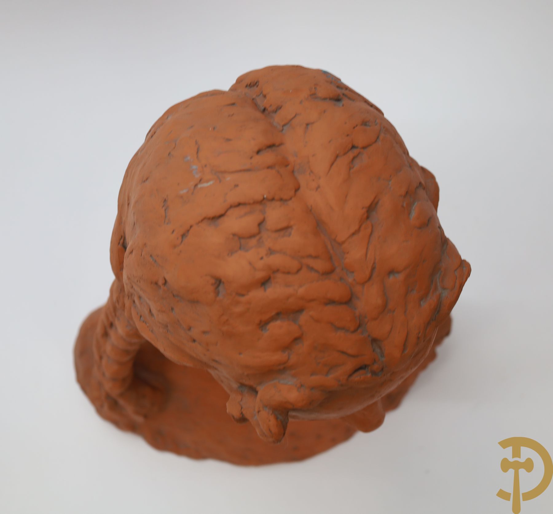 VAN DER KAAY Koos get. 1956 