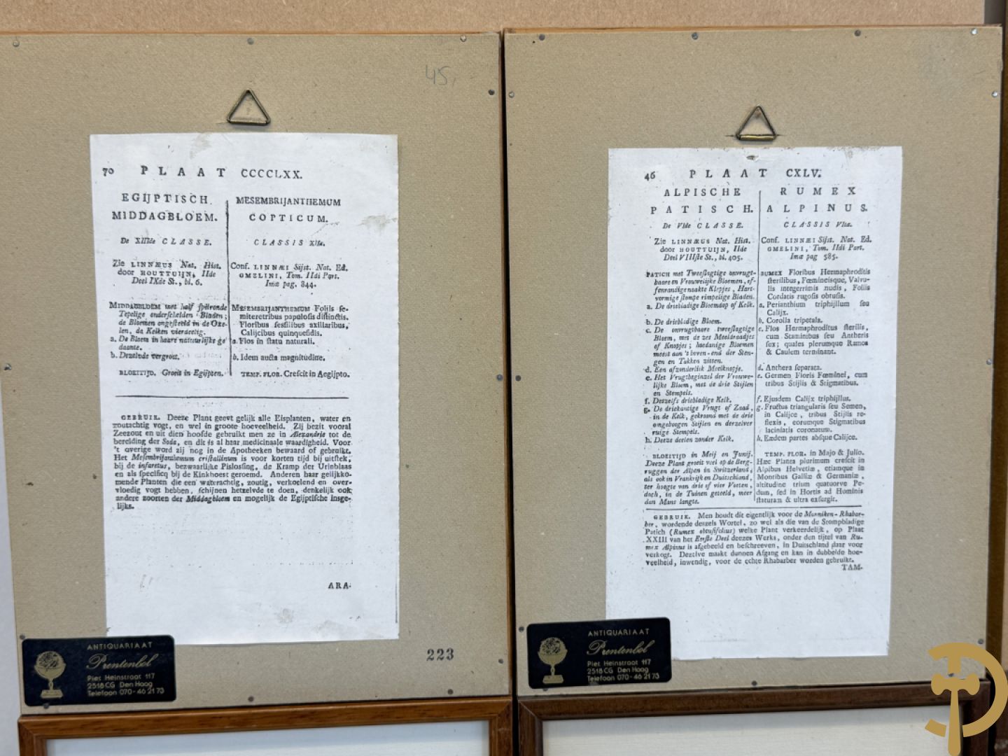 LEITNER J.S. fecit  - Set oude gravures met ingelijste medicinale planten