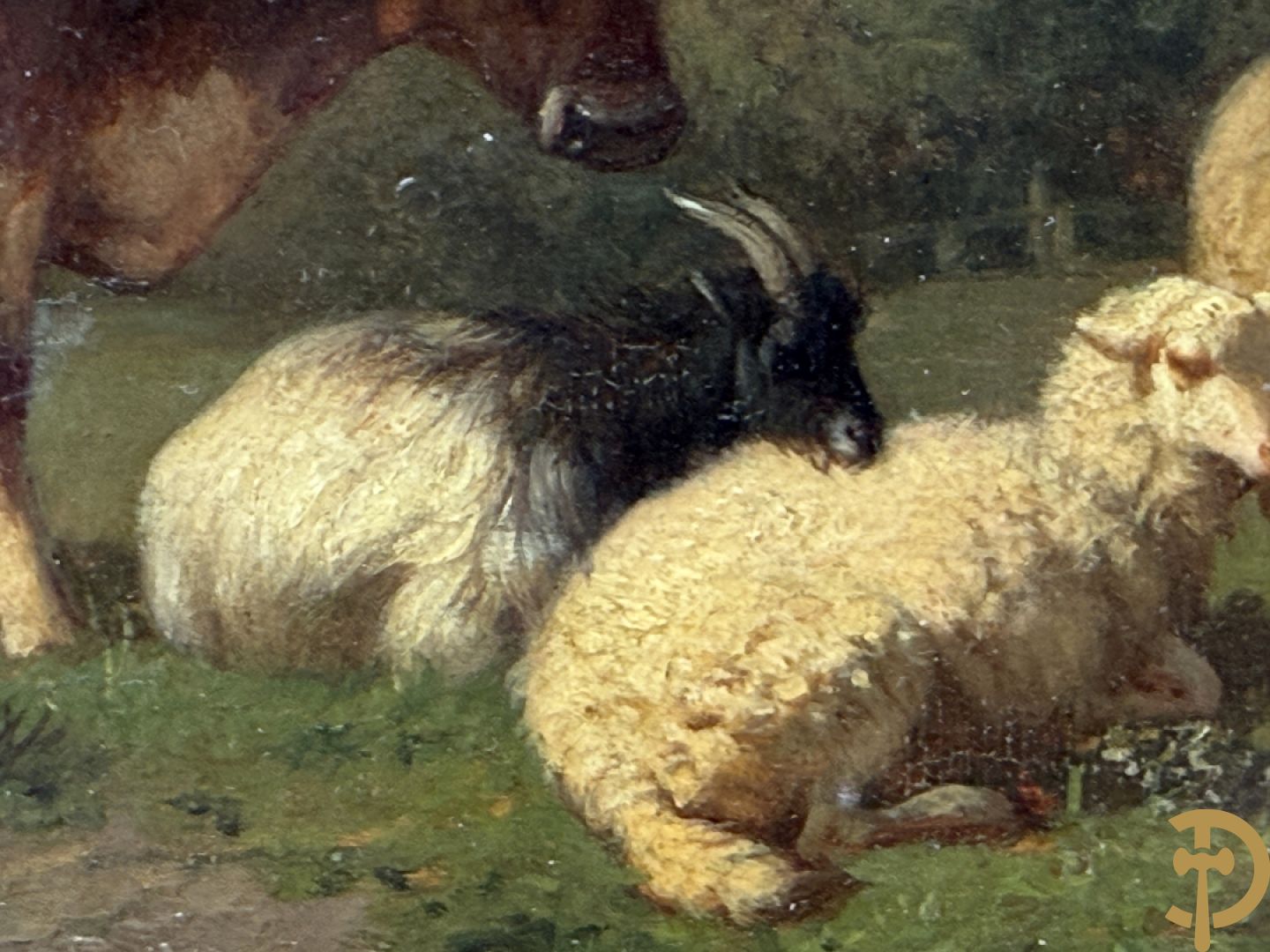 ROBBE getekend links 