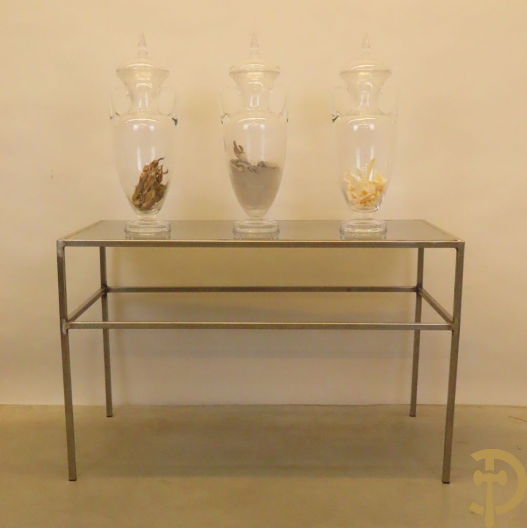 VANMECHELEN Koen 2008 