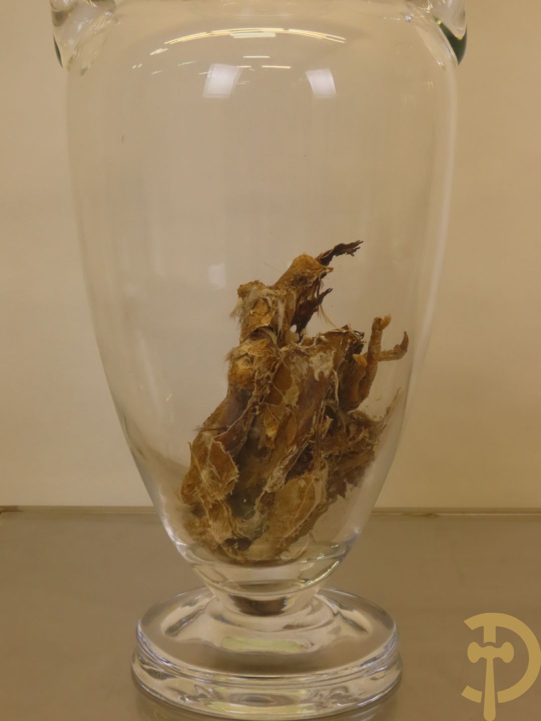 VANMECHELEN Koen 2008 