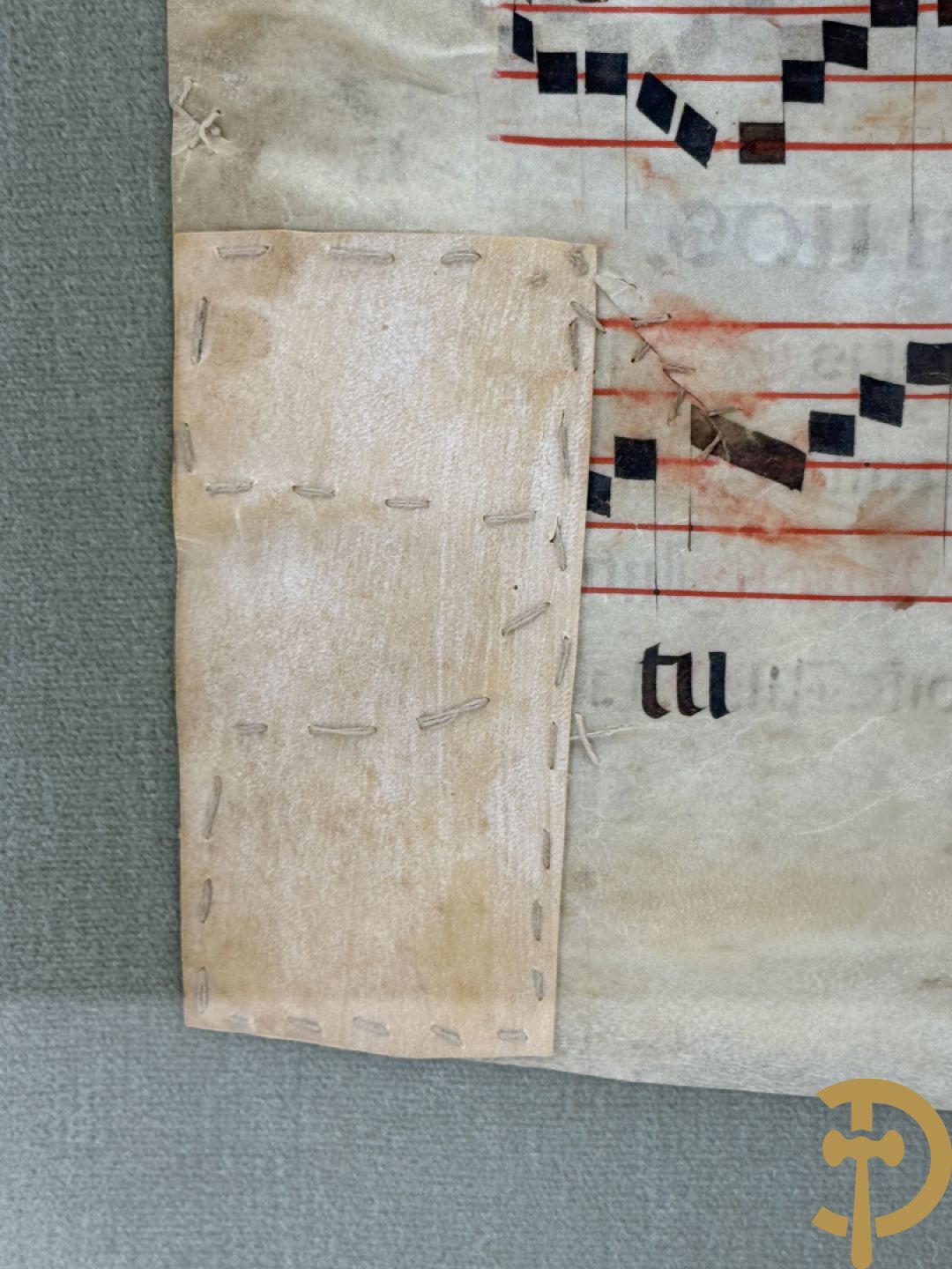 Perkamenten uittreksel uit een gezangenboek met Latijnse gekaligrafeerde letter