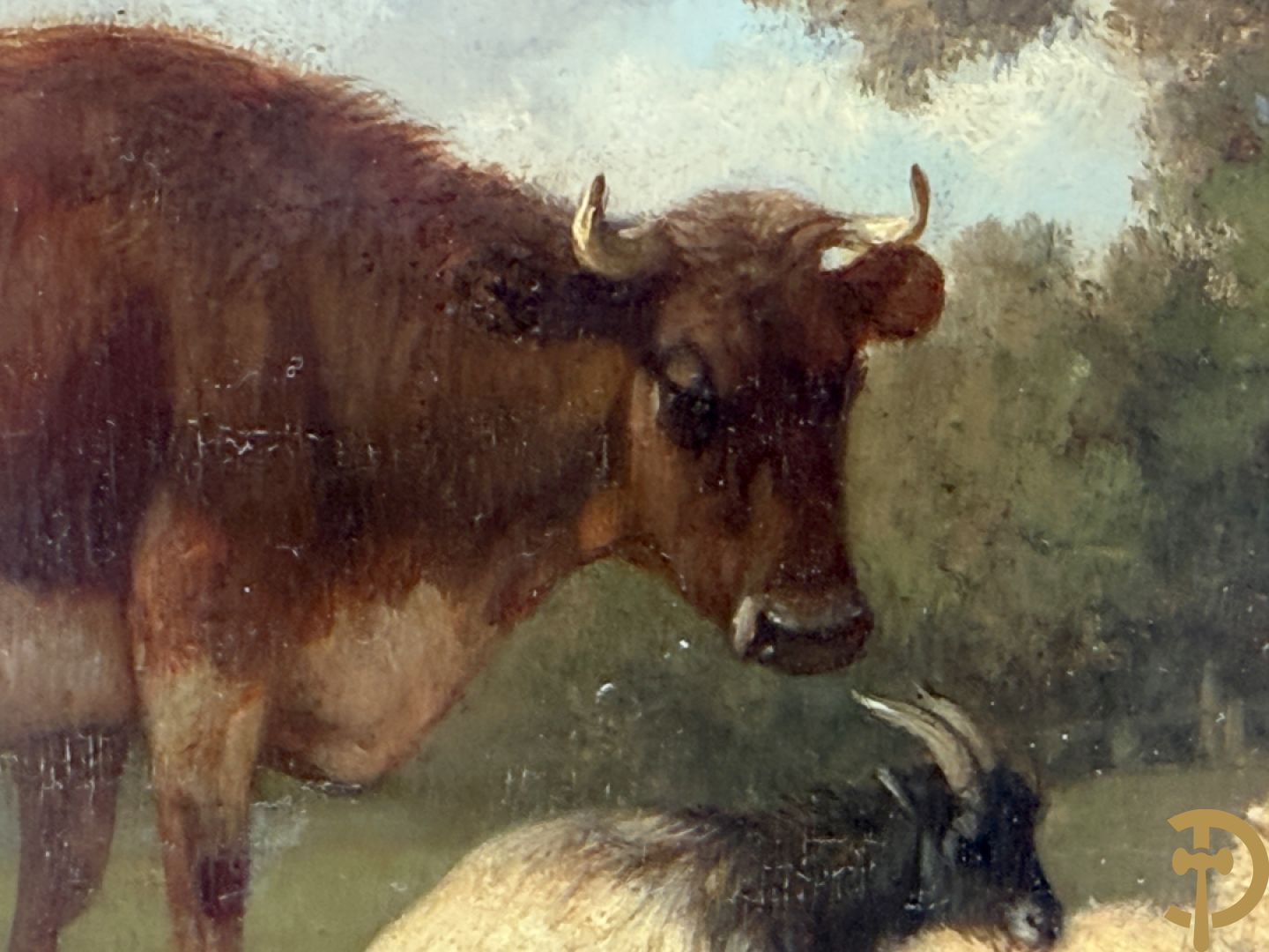 ROBBE getekend links 