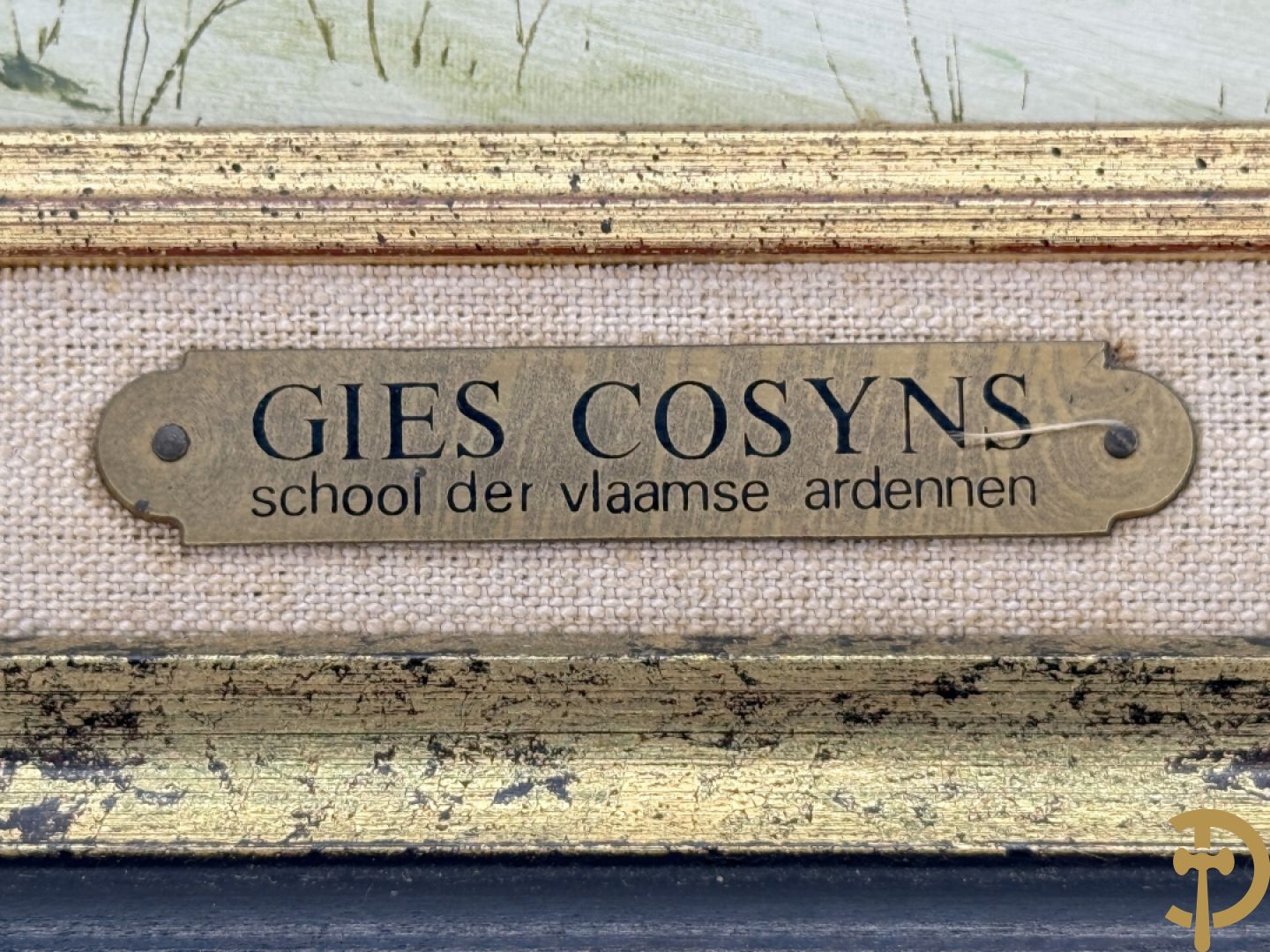 COSYNS Gies getekend 