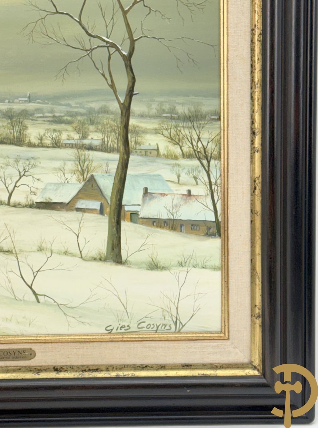 COSYNS Gies getekend 