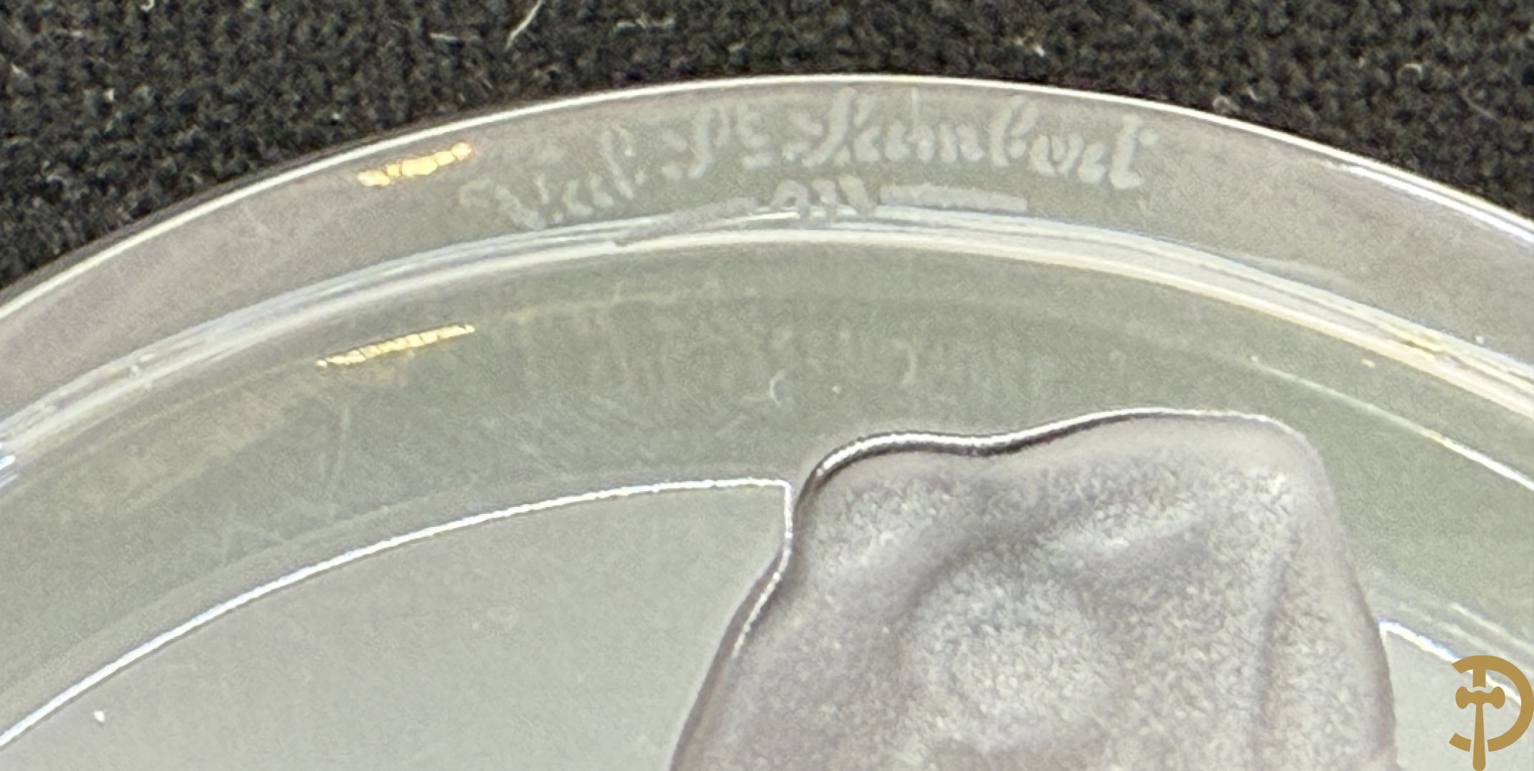 Set van zes kikkers Val-Saint-Lambert