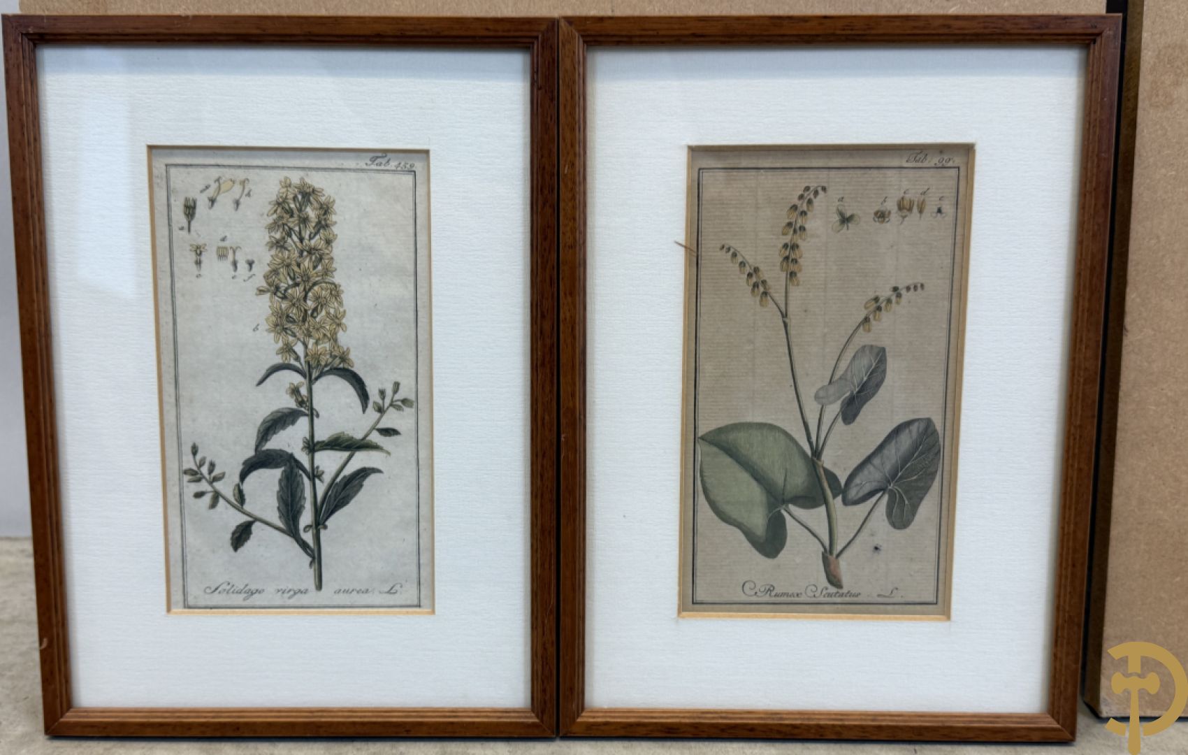 LEITNER J.S. fecit  - Set oude gravures met ingelijste medicinale planten