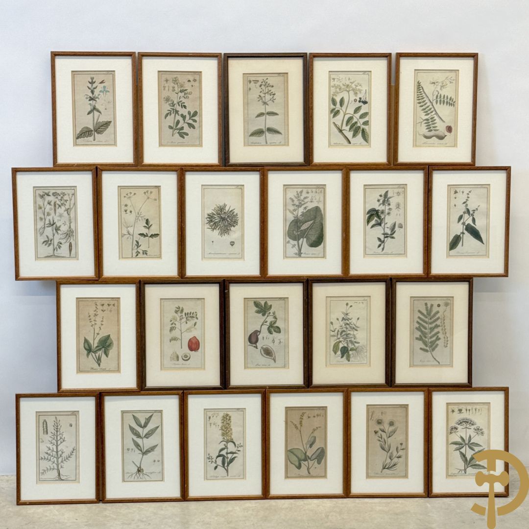 LEITNER J.S. fecit  - Set oude gravures met ingelijste medicinale planten