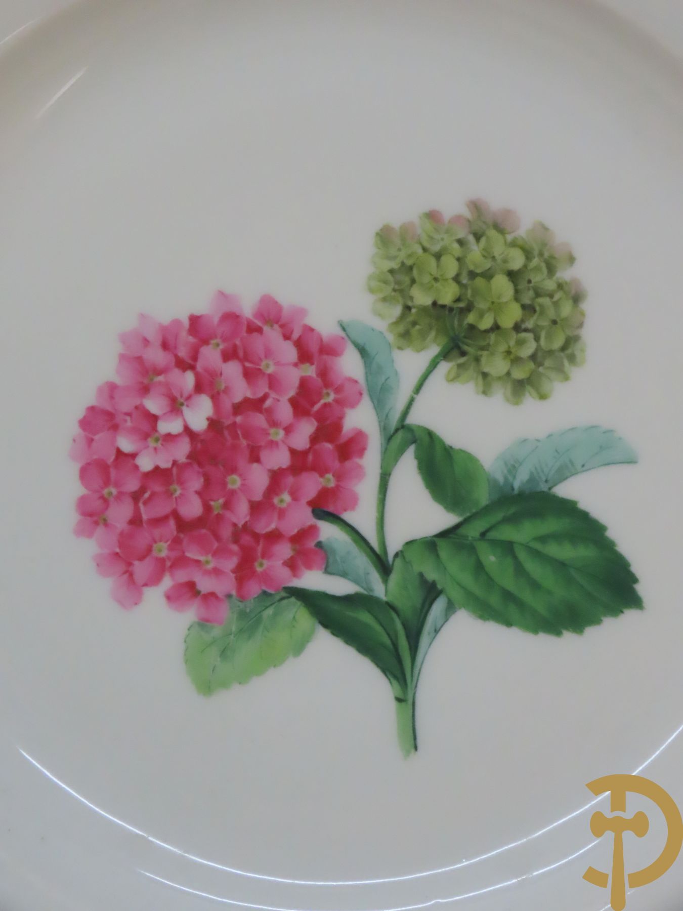 Zes porseleinen borden onder gemerkt met zwaarden / Meissen : 1 bord met stadstafereel, 1 verlucht bord met drakendecor, 1 bord met vogeldecor, 1 met bloemen en 2 met bloemendecor omgeven door vergulde rand