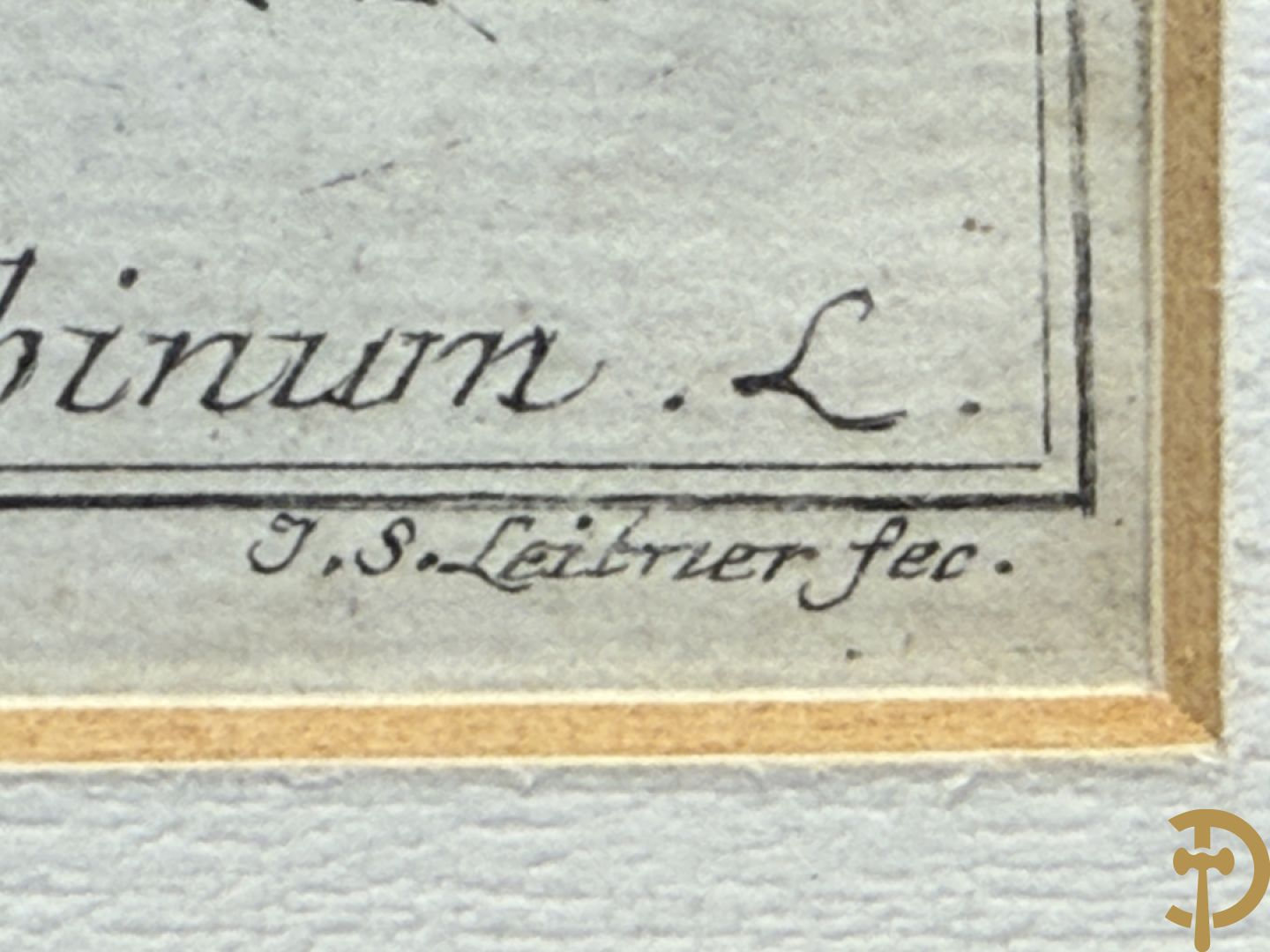 LEITNER J.S. fecit  - Set oude gravures met ingelijste medicinale planten