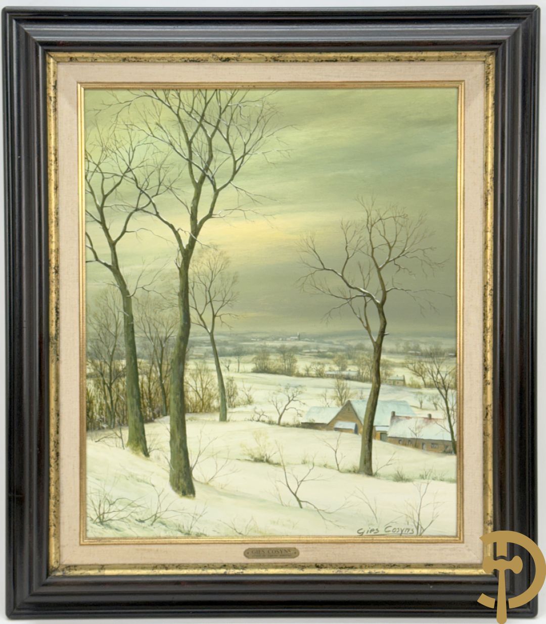 COSYNS Gies getekend 