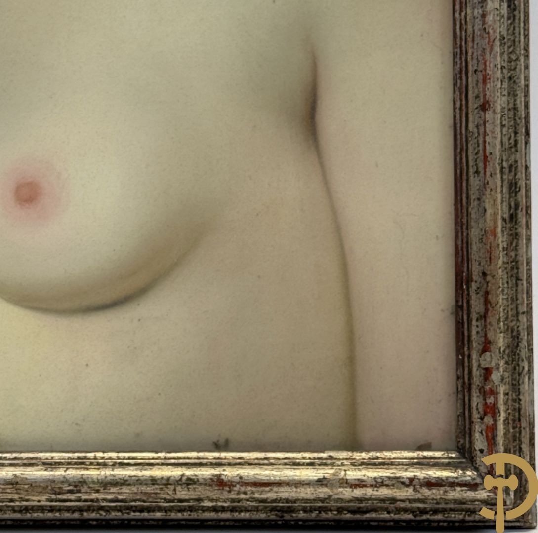 BAES Firmin getekend 