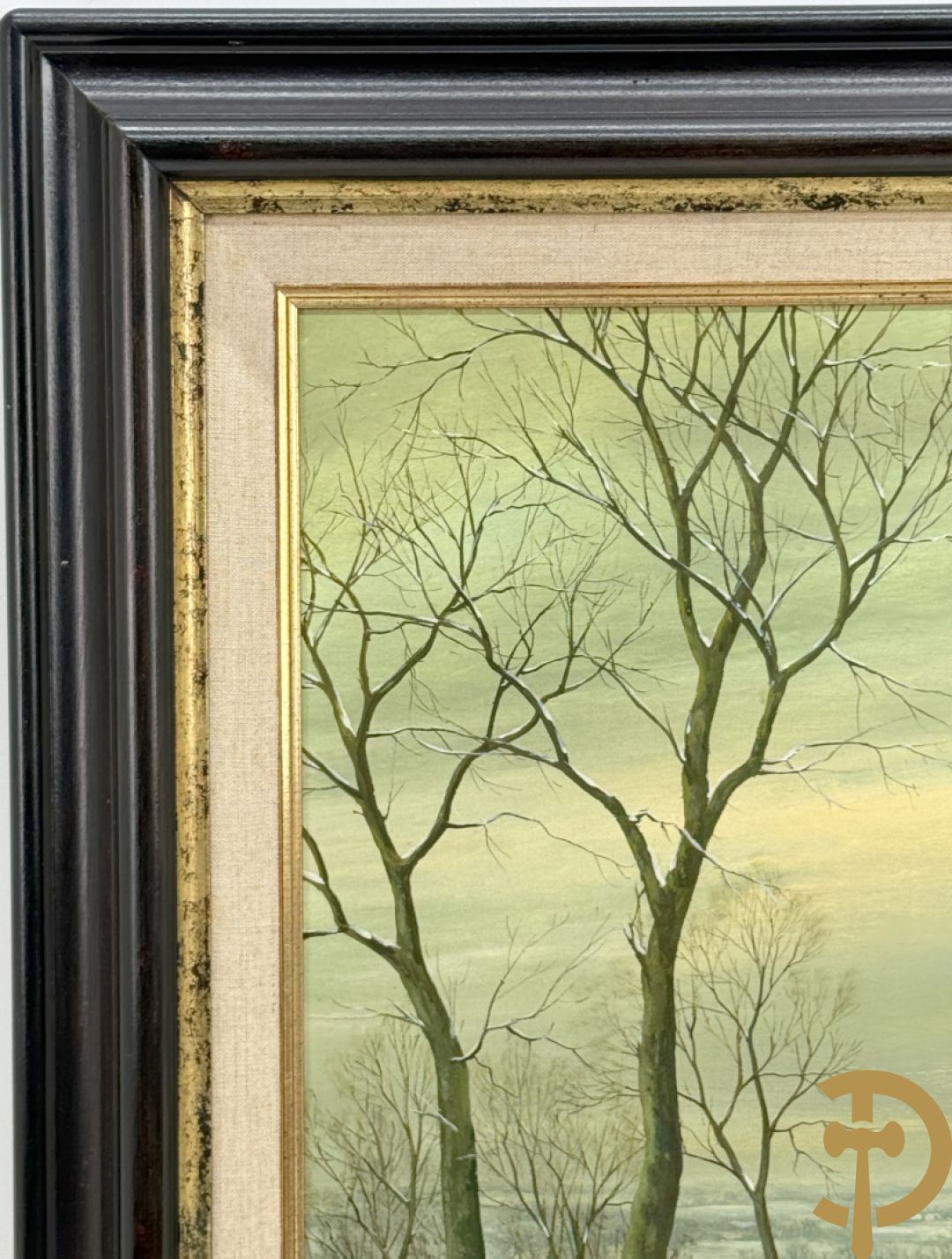 COSYNS Gies getekend 