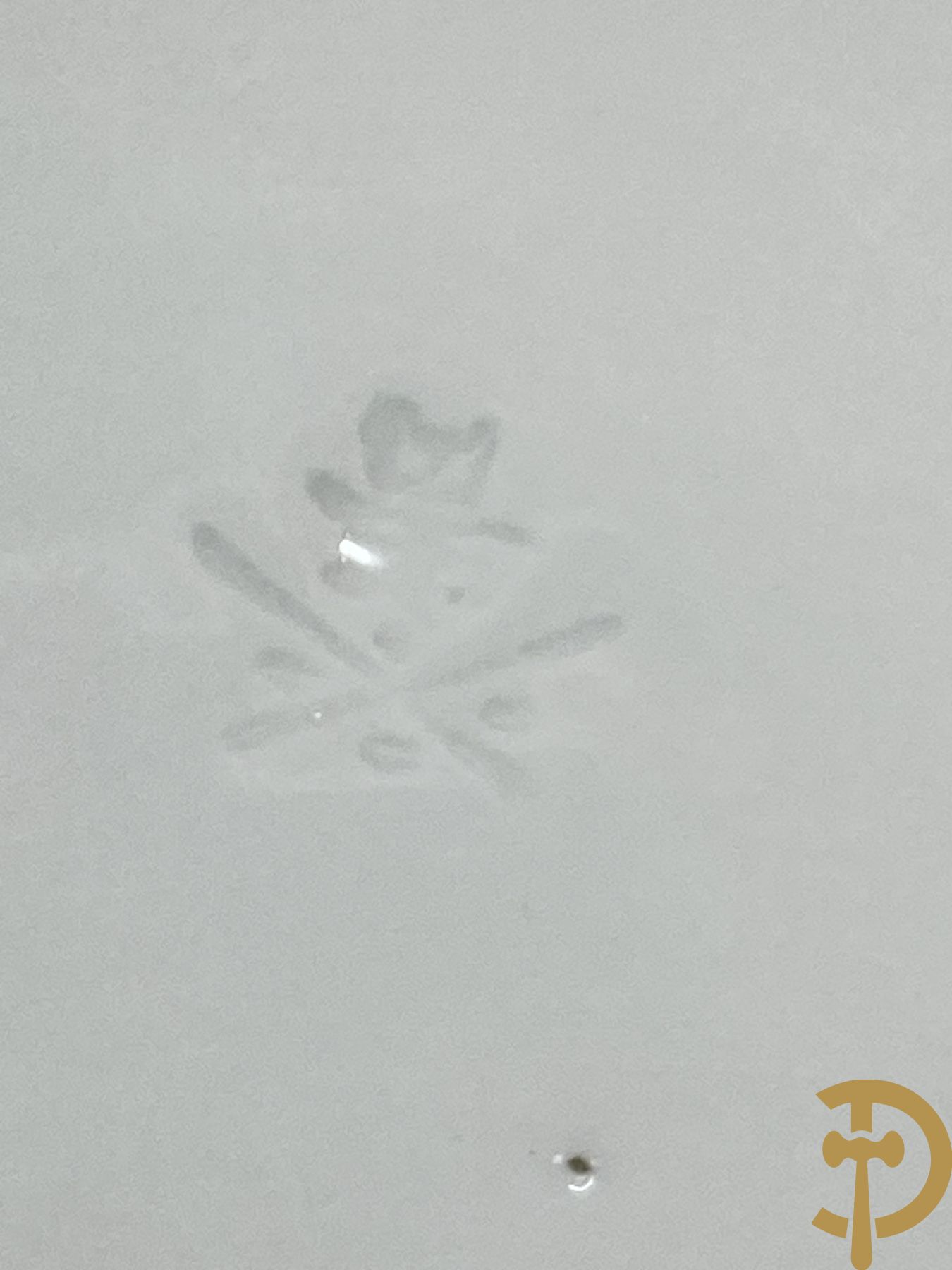 Paar porseleinen borden met vlinderdecor