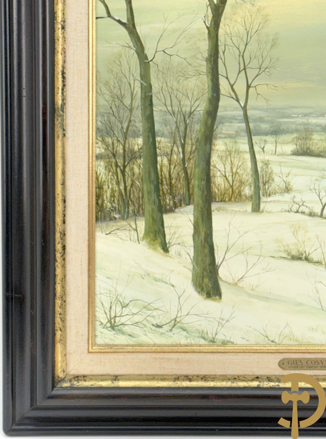 COSYNS Gies getekend 