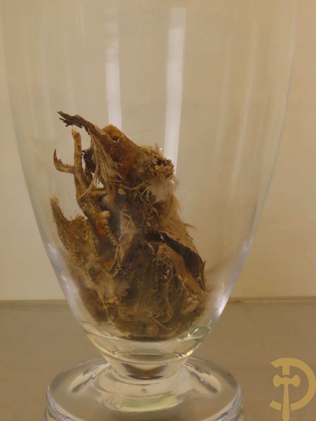 VANMECHELEN Koen 2008 