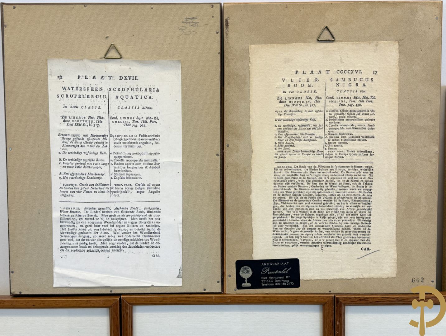 LEITNER J.S. fecit  - Set oude gravures met ingelijste medicinale planten