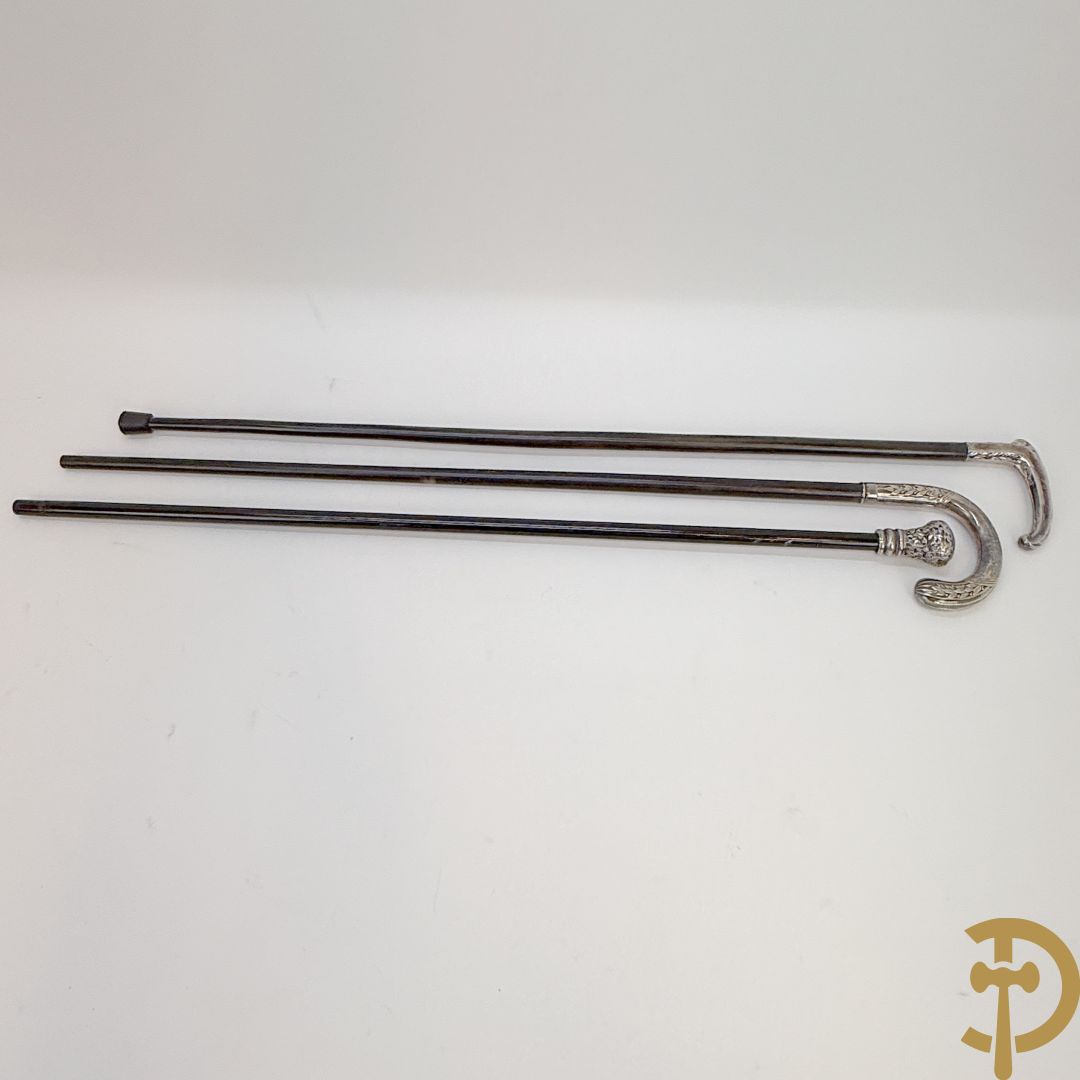 Drie wandelstokken met verzilverd handvat