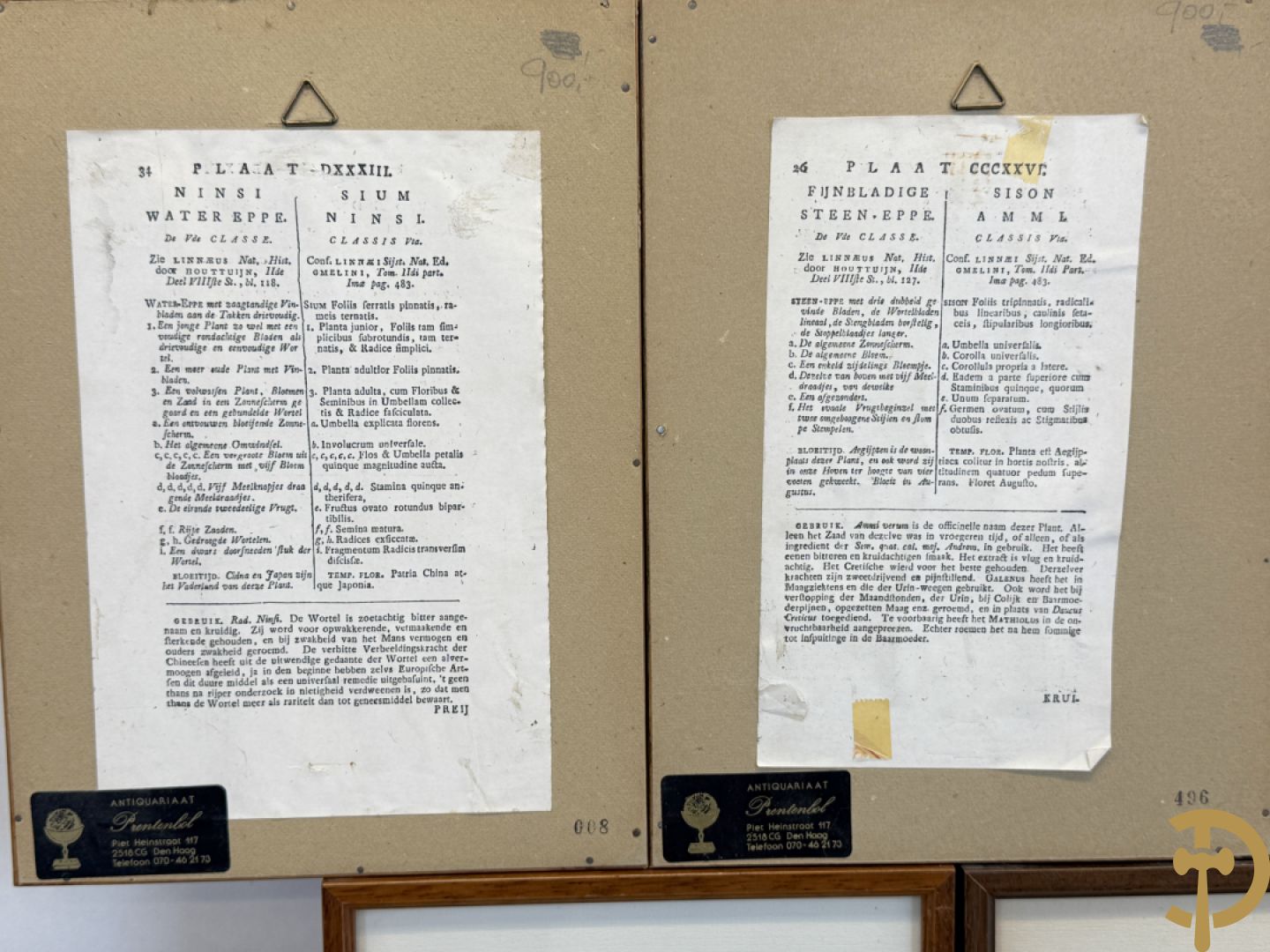 LEITNER J.S. fecit  - Set oude gravures met ingelijste medicinale planten