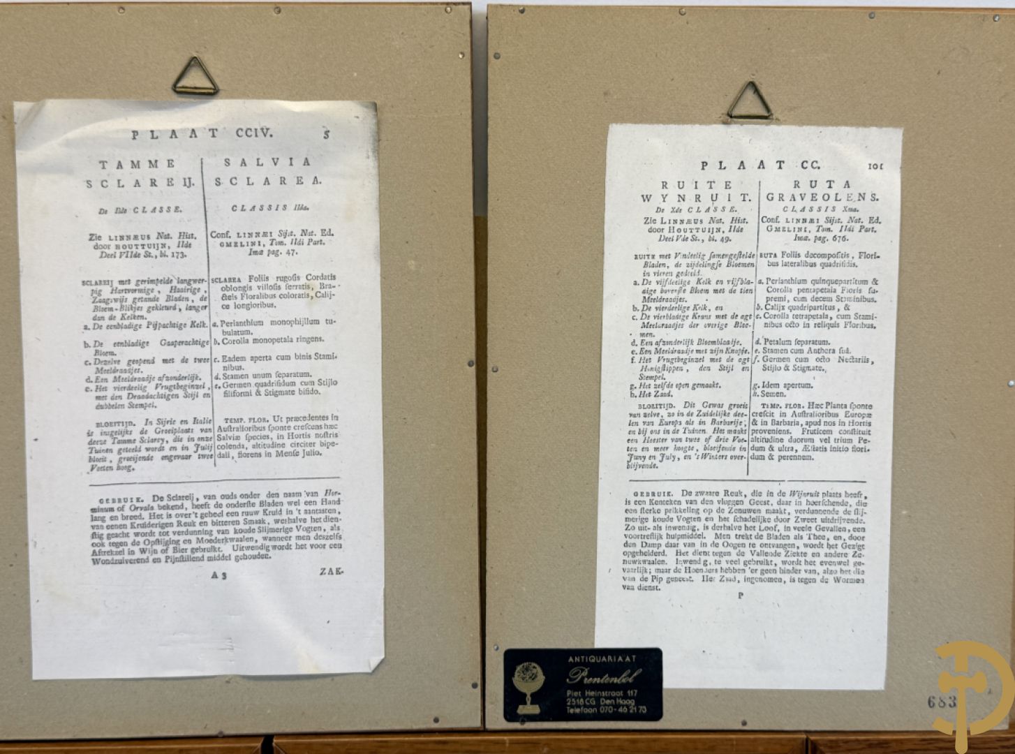 LEITNER J.S. fecit  - Set oude gravures met ingelijste medicinale planten