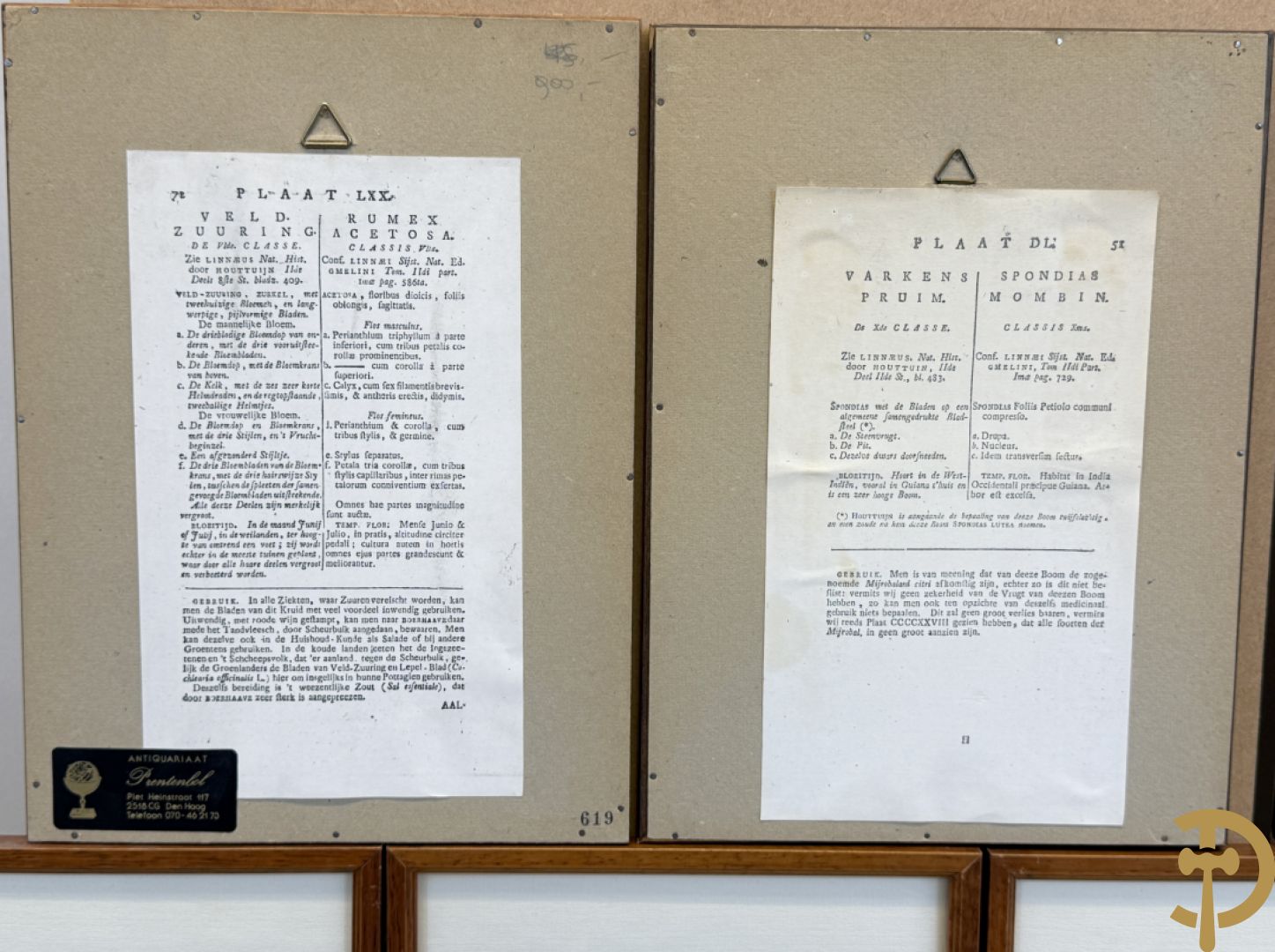 LEITNER J.S. fecit  - Set oude gravures met ingelijste medicinale planten