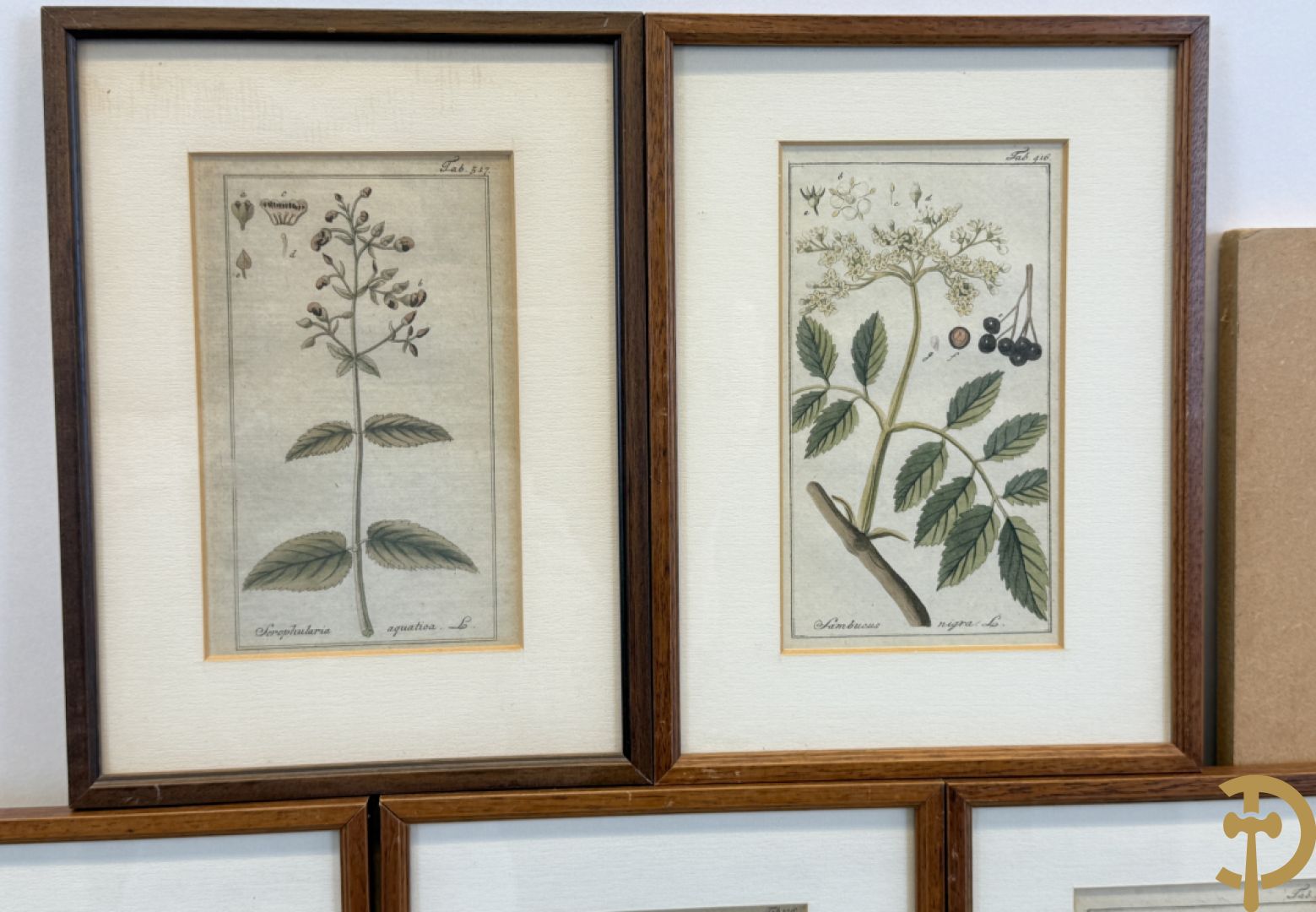 LEITNER J.S. fecit  - Set oude gravures met ingelijste medicinale planten