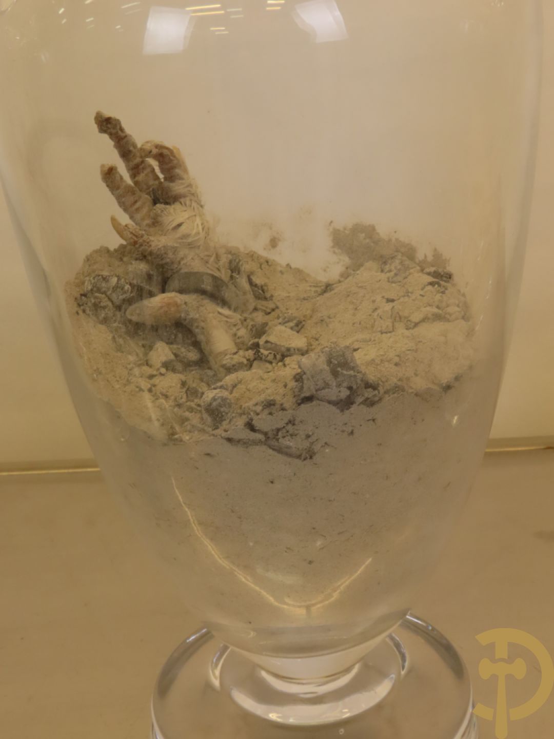 VANMECHELEN Koen 2008 