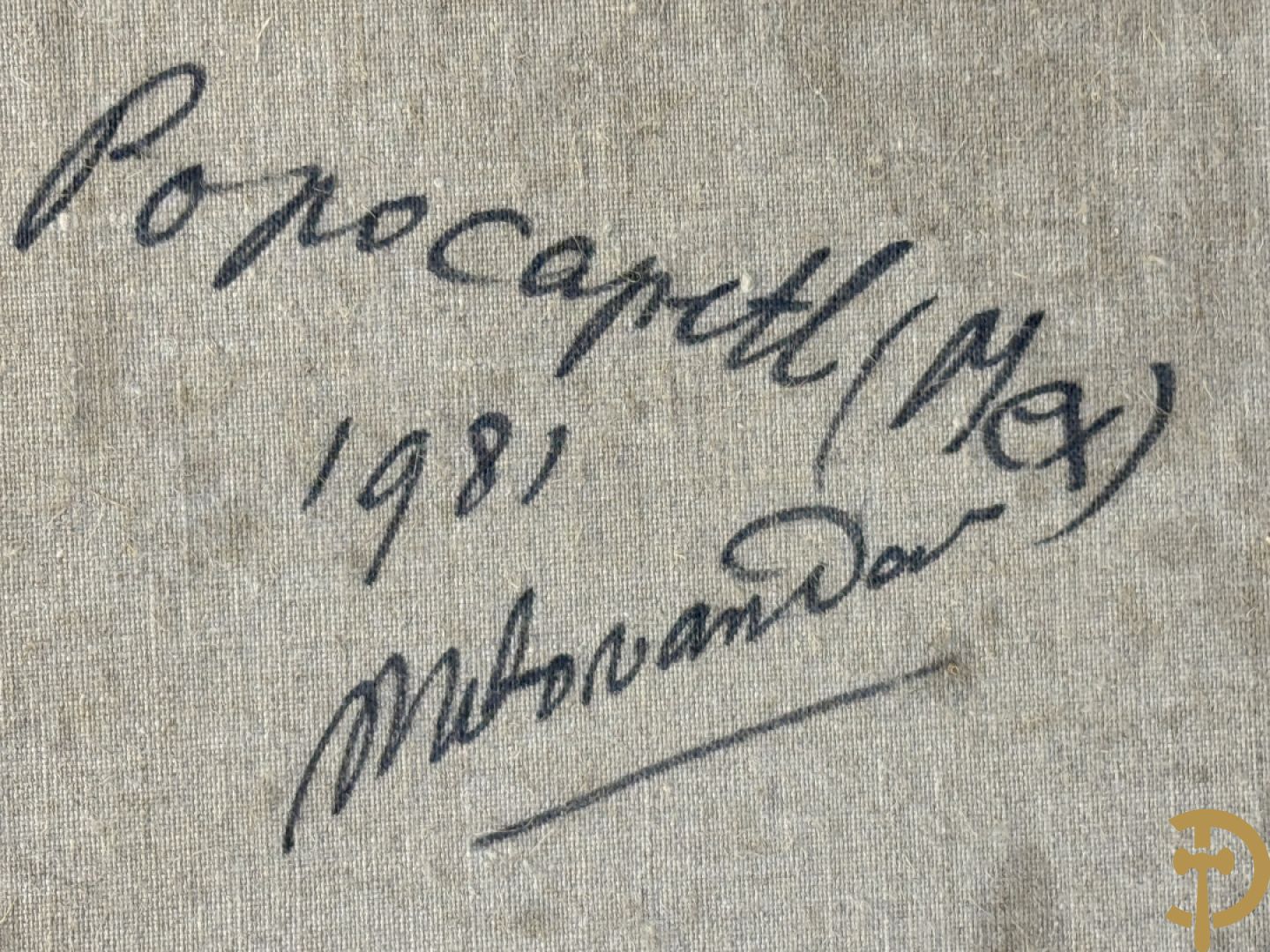 VAN DAELE Nico getekend verso 1981 