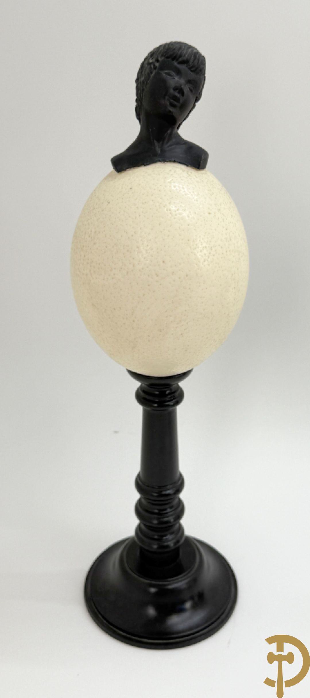 Vijf struisvogeleieren op zwart houten statief